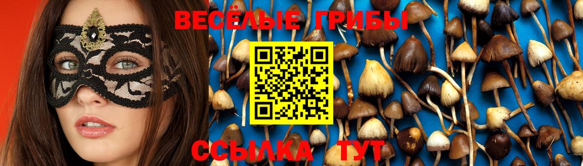 Псилоцибиновые грибы Psilocybe Минеральные Воды