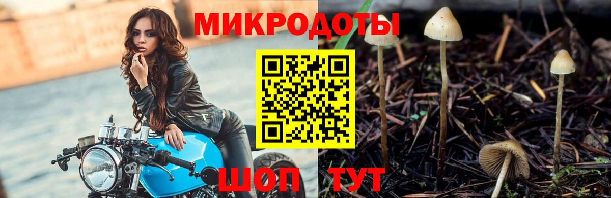 Галлюциногенные грибы мухоморы  Псилоцибиновые грибы ЛСД  Вход с VPN  Минеральные Воды 
